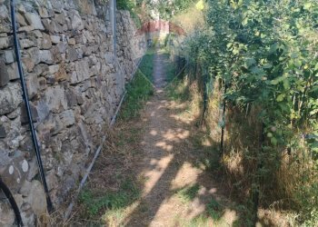 Rustico strada sangiovanni, 214 
 Sanremo, Sanremo - foto 5