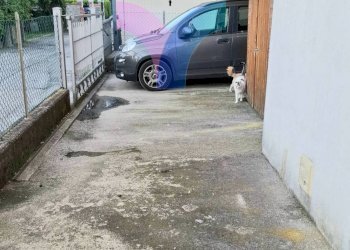 Villa a Schiera strada santa bona nuova, Treviso - foto 12