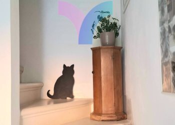 Villa a Schiera strada santa bona nuova, Treviso - foto 13