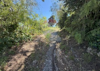 Terreno agricolo Via caposcale, Valderice - foto 4