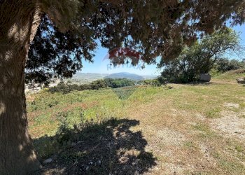 Terreno agricolo Via caposcale, Valderice - foto 15