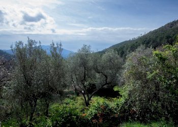 Villa Via Nansola, Casarza Ligure - foto 43