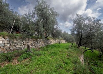 Villa Via Nansola, Casarza Ligure - foto 45