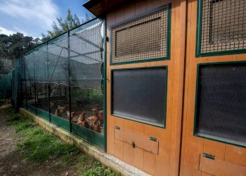 Villa Via Nansola, Casarza Ligure - foto 46