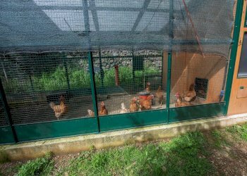 Villa Via Nansola, Casarza Ligure - foto 47