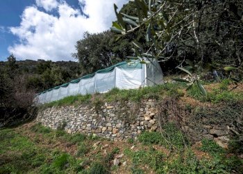 Villa Via Nansola, Casarza Ligure - foto 48