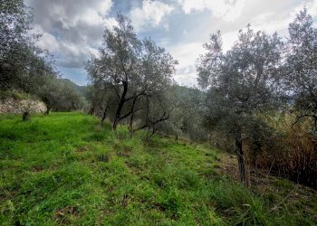 Villa Via Nansola, Casarza Ligure - foto 50