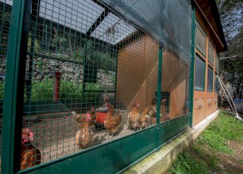 Villa Via Nansola, Casarza Ligure - foto 51