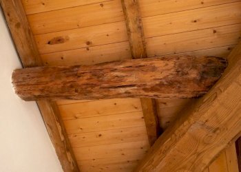 Villa Via Nansola, Casarza Ligure - foto 56