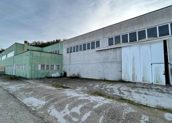 Capannone Contrada Fiorano, Ripatransone - foto 4