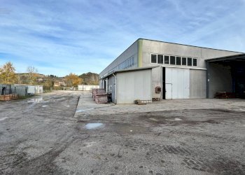 Capannone Contrada Fiorano, Ripatransone - foto 7