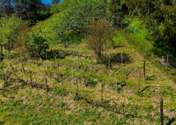 Terreno - Terreno edificabile strada Levante Castello, Tortona - foto 6