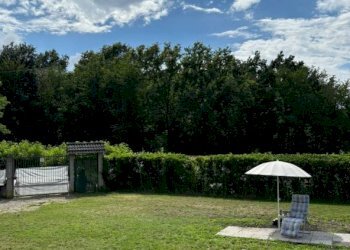 Giardino - Villa Frazione San Bernardo, 61, Monteu Roero - foto 7