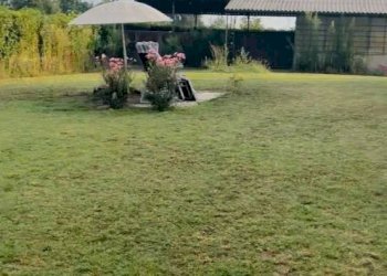 Giardino - Villa Frazione San Bernardo, 61, Monteu Roero - foto 8