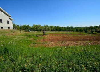 Terreno - Villa Frazione San Bernardo, 61, Monteu Roero - foto 43
