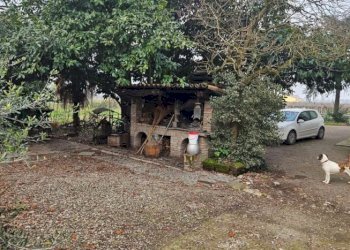 Apartment Soliera - photo 4