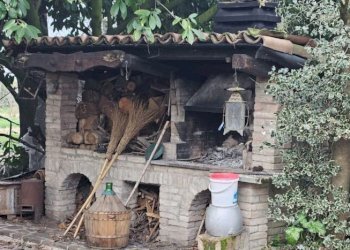 Apartment Soliera - photo 5