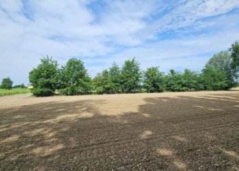 Apartment Soliera - photo 29