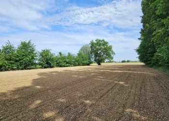 Apartment Soliera - photo 30