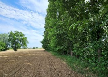 Apartment Soliera - photo 31