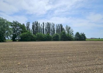 Apartment Soliera - photo 32