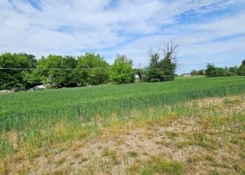 Apartment Soliera - photo 33