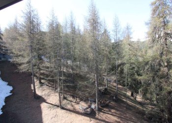 Appartamento frazione Pila, Gressan - foto 10