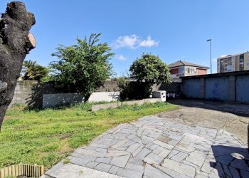 Box Carmagnola - foto 3