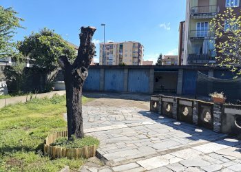 Box Carmagnola - foto 14