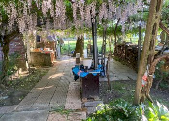 Semi-detached Villa Mordano - photo 2