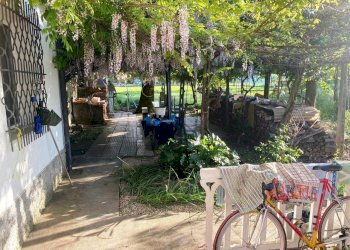 Semi-detached Villa Mordano - photo 22