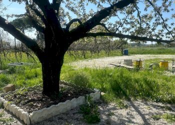 Semi-detached Villa Mordano - photo 26