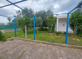 Giardino - Villa viale delle Gardenie, 1, Pulsano - foto 3