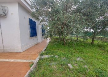 Giardino - Villa viale delle Gardenie, 1, Pulsano - foto 6