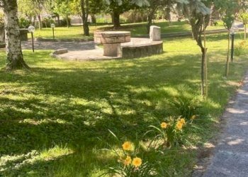 Terreno - Three-room apartment via Circonvallazione Vigne, 14, Chiusa di Pesio - photo 5