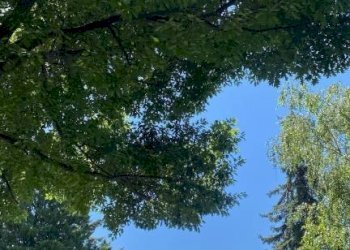 Vista - Three-room apartment via Circonvallazione Vigne, 14, Chiusa di Pesio - photo 6