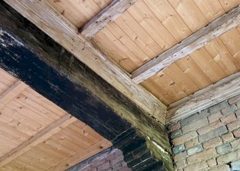 Villa Bassignana - foto 7