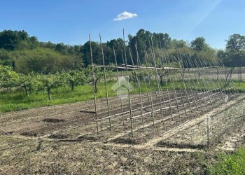 Rustico Via Cascine Praie, Salerano Canavese - foto 4