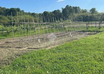 Rustico Via Cascine Praie, Salerano Canavese - foto 9