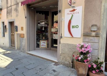 Bilocale Via Umberto i 46, Castagneto Carducci - foto 18