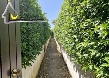 Independent house Via Duca del mare 6, 04016 Sabaudia LT, Sabaudia - photo 2