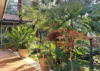 Villa Unifamiliare Cervia - foto 2