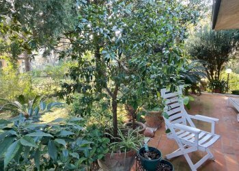 Villa Unifamiliare Cervia - foto 7