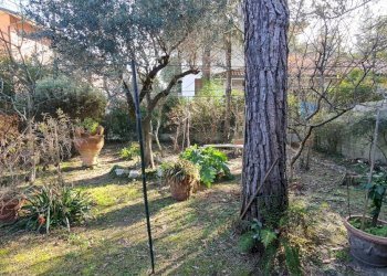 Villa Unifamiliare Cervia - foto 9