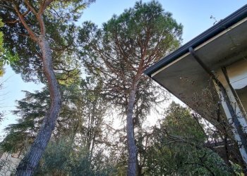 Villa Unifamiliare Cervia - foto 15