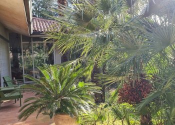 Villa Unifamiliare Cervia - foto 19