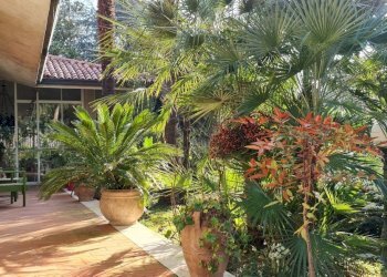 Villa Unifamiliare Cervia - foto 20