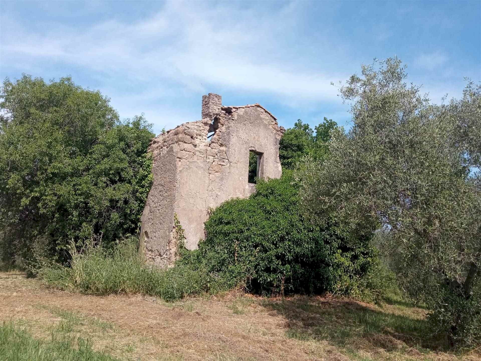 Terreno agricolo -, Vetralla - foto 3