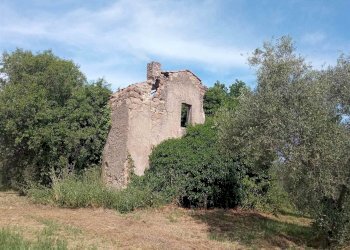 Terreno agricolo -, Vetralla - foto 3