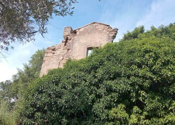 Terreno agricolo -, Vetralla - foto 4